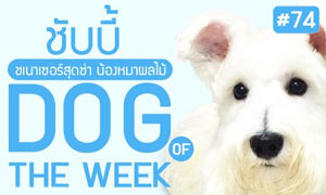 �Ѻ��� ��������ش��� ��ͧ��Ҽ����