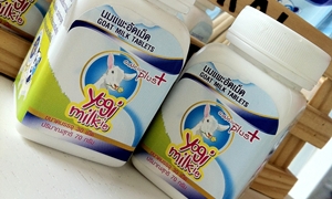 Review : �����Ѵ��� �����������ش�ô�ͧ��ͧ���