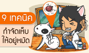 9 ෤�Ԥ �ӨѴ������������Ѵ [Infographic]