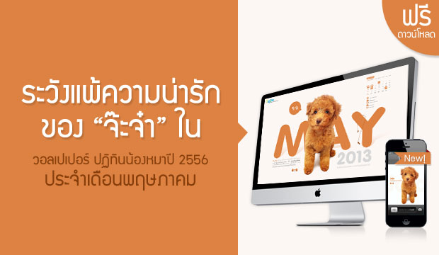 �������컯ԷԹ��ͧ��һ� 2556