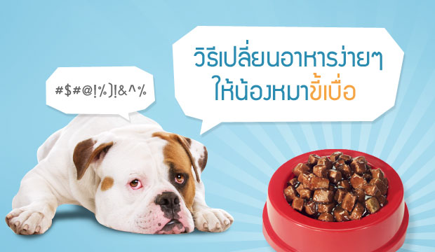 �Ը�����¹����ç���� ����ͧ��Ң������