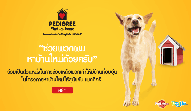 Pedigree Find-a-home �ç����Һ�ҹ�������Ѻ�عѢ�Ѻྴ�ԡ��