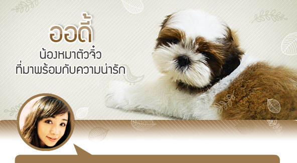 ʹ,  3 , Ǩش, dog of the week 60