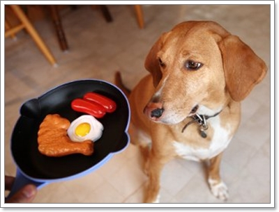 Dogilike.com :: عѢٵþɷѧç㹻չ!!!
