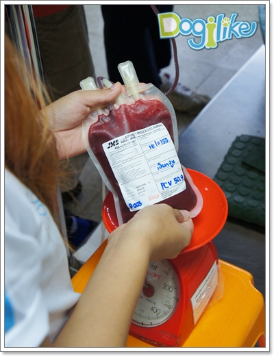 Dogilike.com :: ҾԨ KU Blood Bank & SmartHeart Blood Donor Camp 2012