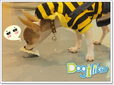 Dogilike.com :: REVIEW : Ѿ شѺͧ