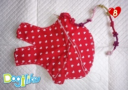 Dogilike.com :: ทำหมวกสุนัขกัน!!