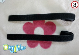 Dogilike.com :: ˹ٹ  ᴧ..