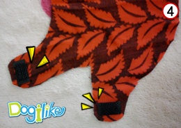 Dogilike.com :: ˹ٹ  ᴧ..