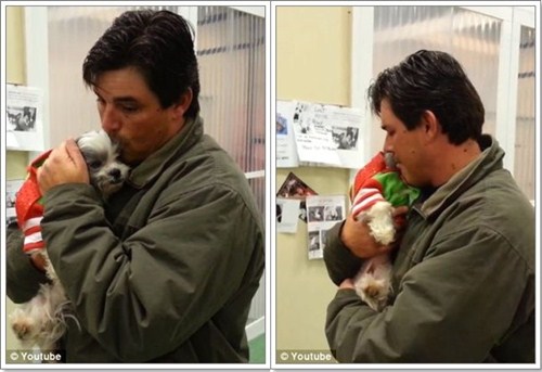 Dogilike.com :: ҮѺʵ عѢ١һա͹!!
