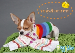 Dogilike.com :: Ҿѹҵش