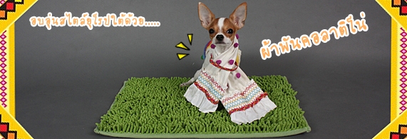 Dogilike.com :: Ҿѹҵش