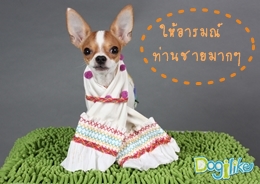 Dogilike.com :: Ҿѹҵش