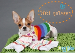 Dogilike.com :: Ҿѹҵش