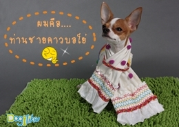 Dogilike.com :: Ҿѹҵش