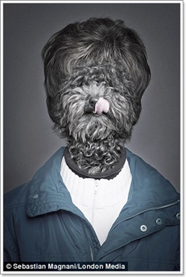 Dogilike.com :: ѡ! ҧҾԵ˹عѢѺҢͧ