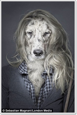 Dogilike.com :: ѡ! ҧҾԵ˹عѢѺҢͧ