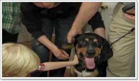 Dogilike.com :: ش! ͧҹ͹Ⱦ͹ٺ١ö俪