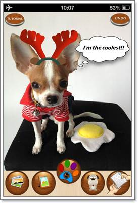Dogilike.com :: ͻपѹ! Ңͧͺ觵ǹͧ