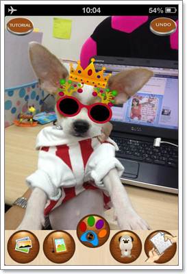 Dogilike.com :: ͻपѹ! Ңͧͺ觵ǹͧ