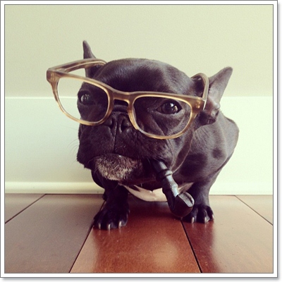 Dogilike.com :: ͵ ùŴ͡ شͺԹʵ!