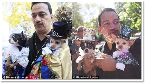 Dogilike.com :: ˭! ٺСѹǨѴԹôչ