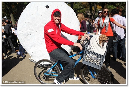 Dogilike.com :: ˭! ٺСѹǨѴԹôչ