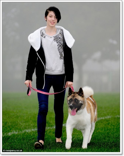 Dogilike.com :: ʹ! عѢз׺ѧªԵҹ ˵Դ