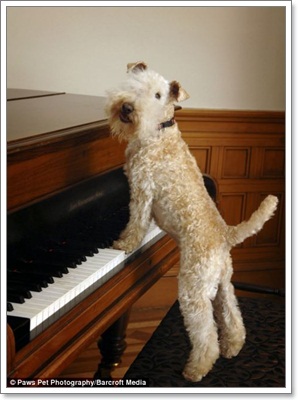 Dogilike.com :: ҧҾ! ҾعѢš  5 ի͹
