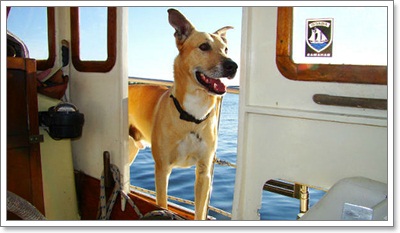 Dogilike.com :: ! عѢʹºҧҧط