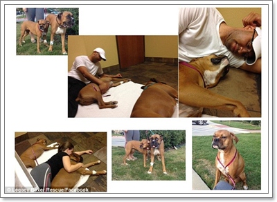 Dogilike.com :: .觨Ѻ͹ҹ˴ҧعѢ ˵Ӥҭ§!