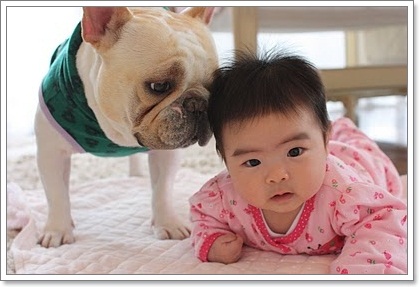 Dogilike.com :: 10 شʹعѢͺ 2012