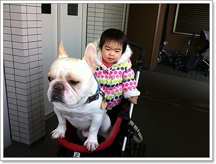 Dogilike.com :: 10 شʹعѢͺ 2012