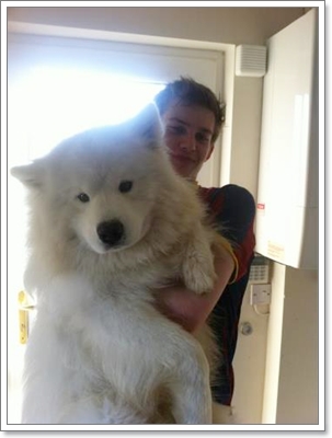 Dogilike.com :: 10 شʹعѢͺ 2012