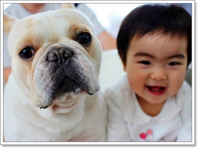 Dogilike.com :: 10 شʹعѢͺ 2012