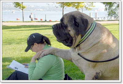 Dogilike.com :: 10 شʹعѢͺ 2012