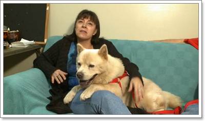 Dogilike.com :: 10 شʹعѢͺ 2012