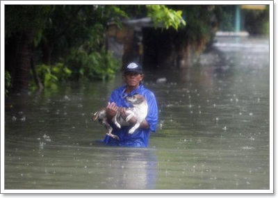 Dogilike.com :: 10 شʹعѢͺ 2012