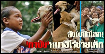 Dogilike.com :: 10 شʹعѢͺ 2012