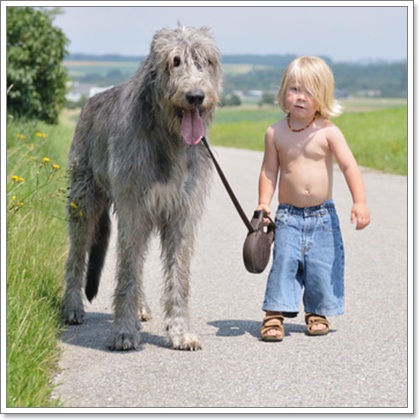 Dogilike.com :: 10 شʹعѢͺ 2012