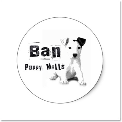Dogilike.com :: ���ѡ���? Puppy mills �ç�ҹ�á��Ե�١�عѢ!!