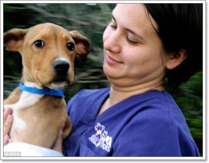 Dogilike.com :: ᫡ Ѱ 觪عѢ