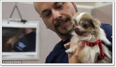 Dogilike.com ::  ͧҼʹԵҡçҹԵ١عѢ!!