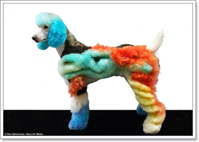 Dogilike.com :: СѹԵ! عѢٻѵ