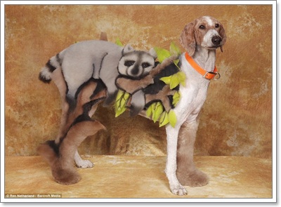 Dogilike.com :: СѹԵ! عѢٻѵ