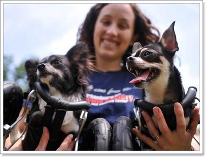 Dogilike.com :: ͻ   2 ͧҢҾԡ