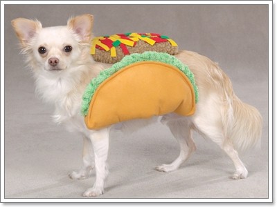 Dogilike.com :: Ὺ�蹪ش������ش���� ^^