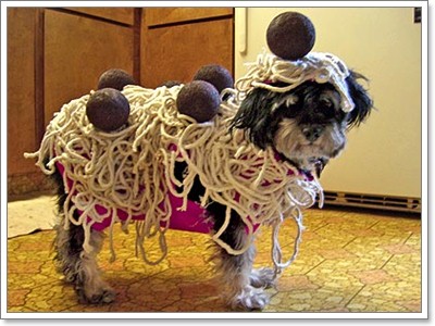 Dogilike.com :: Ὺ�蹪ش������ش���� ^^