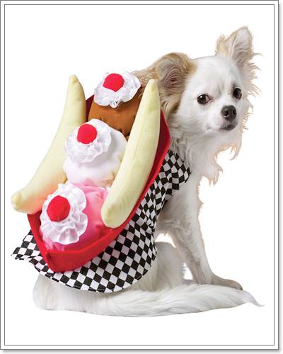 Dogilike.com :: Ὺ�蹪ش������ش���� ^^
