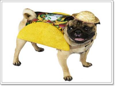 Dogilike.com :: Ὺ�蹪ش������ش���� ^^